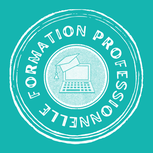 Formation professionnelle